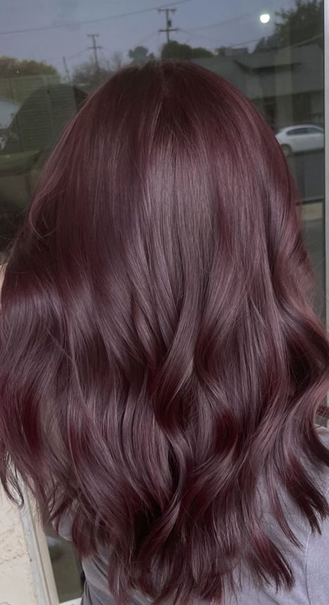 Hair Color Ideas Solid Colors, Purple Reddish Hair, Purple Dye On Brown Hair, Midnight Violet Hair, Cola Brown Hair, Dark Purple Brown Hair, Wine Brown Hair, Brown Hair With Purple Undertones, Dark Brown And Purple Hair