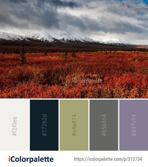 Color Palette Ideas from Tundra Nature Highland Image Tundra Color Palette, Color Palette Ideas, Palette Ideas, Mountain Nature, Ecosystem, Color Pallets, Color Palettes, Color Palette, Color