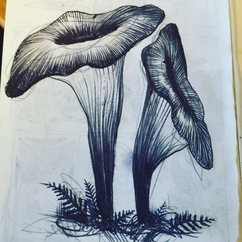 Trompette des Morts #mycology #mushrooms #illustration #blackworkers Black Trumpet Mushroom Tattoo, Chantrell Mushrooms Tattoo, Mushroom Line Drawing, Black Trumpet Mushrooms, Nature Textiles, Mushrooms Illustration, Trumpet Mushrooms, Mushroom Tattoos, Shirt Inspiration