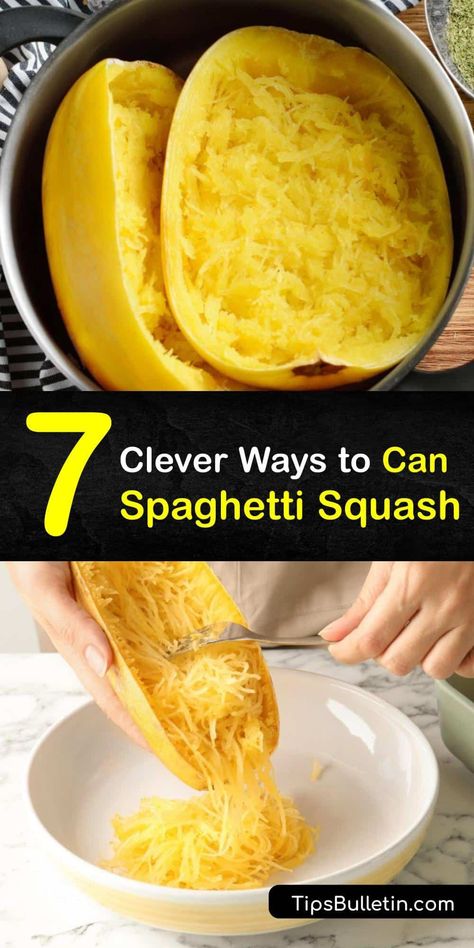 Learn how to prepare and can spaghetti squash using a pressure canner. Proper food preservation is important, whether you are pressure canning zucchini, butternut, or spaghetti squash, and a pressure cooker ensures these low-acid veggies stay fresh. #howto #canning #spaghetti #squash Pressure Canning Spaghetti Squash, Spaghetti Squash Harvesting, Spaghetti Squash Canning Recipes, How To Dehydrate Spaghetti Squash, How To Can Spaghetti Squash, Canned Spaghetti Squash, Can You Can Squash, Can You Freeze Spaghetti Squash, Spaghetti Squash Freezing