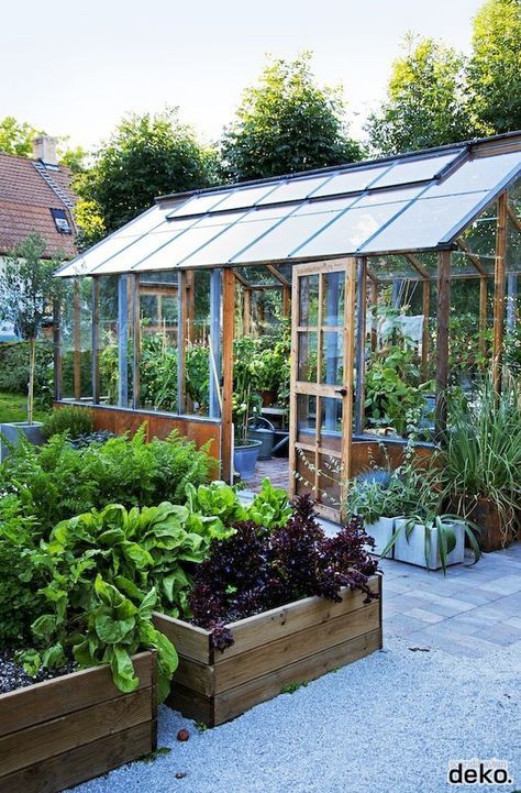 Working vegetable garden with greenhouse and wooden raised beds More Pergola Cover, Plants Growing, Backyard Greenhouse, Veg Garden, Garden Greenhouse, Have Inspiration, Greenhouse Gardening, Garden Structures, Veggie Garden