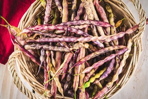 Desert Foraging, Desert Crafts, Ironwood Tree, Mesquite Tree, Light Purple Flowers, Prickly Pear Cactus, Sonoran Desert, Gluten Free Flour, Eating Raw