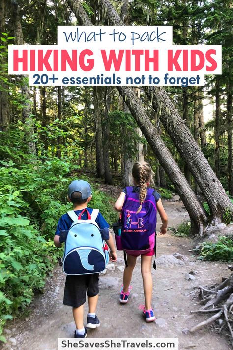 One Day Hiking Packing List, Colorado Packing List Summer Kids, Hiking Pack List, What To Pack For Hiking Day Trip, What To Take Hiking, Hiking Essentials For Kids, Hiking Vacation Packing List, Packing For Hiking Trip, Kids Hiking Gear