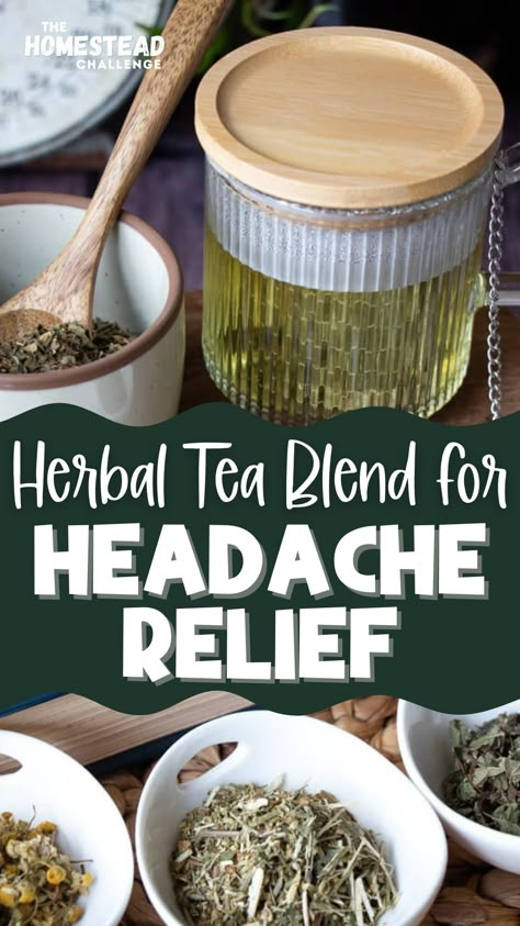 yellow tea and herbs Herbs For Headaches, Tea For Migraines, Teas For Headaches, Tea Blends Recipes, Herbal Tea Garden, Herbal Medicine Recipes, Herbal Remedies Recipes, Best Herbal Tea, Medicinal Tea