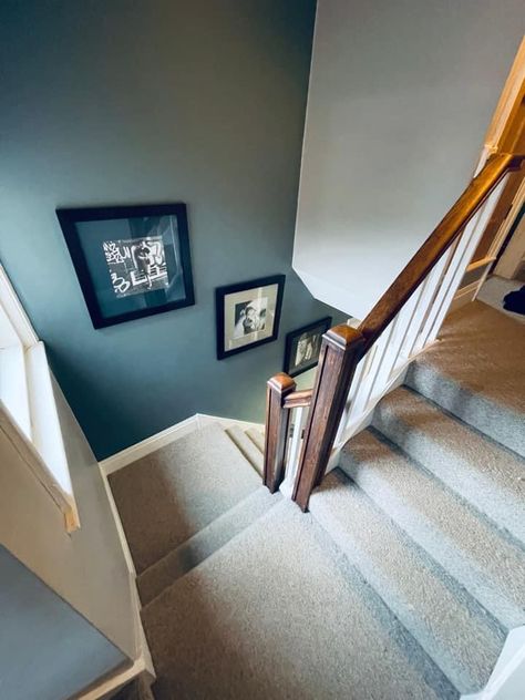 Hall Stairs And Landing Decor, Stairs Feature Wall, Stairs And Landing Decor, Hallway Wall Colors, Hallway Colour Schemes, Stairs And Hallway Ideas, Hallway Paint Colors, Stairs Colours, Blue Hallway