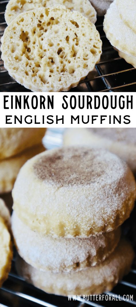 Einkorn Puff Pastry, Sourdough Einkorn Bread, Einkorn English Muffins, Einkorn Discard Recipes, Sourdough Einkorn Recipes, Freshly Milled Sourdough Bread, Einkorn Cinnamon Rolls, Einkorn Sourdough Discard Recipes, Einkorn Bagels