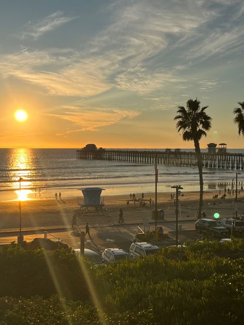 San Clemente, cali, California, sunset, sunrise, sun, book, black, blue, palm trees, tree, aesthetic, pier, ocean, beach, water, sand, surfing San Clemente Aesthetic, California Beach Aesthetic Vintage, Cal State Long Beach Aesthetic, Blue Palm Trees, California Palm Trees Aesthetic, Twisted Ankle, San Clemente Beach, Sunset Beach California, Tree Aesthetic