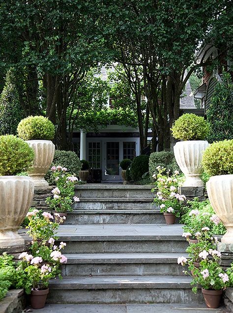 Entry Steps, Exquisite Gardens, Traditional Garden, Traditional Landscape, Diy Pergola, White Gardens, Plants And Flowers, Gorgeous Gardens, Garden Gates