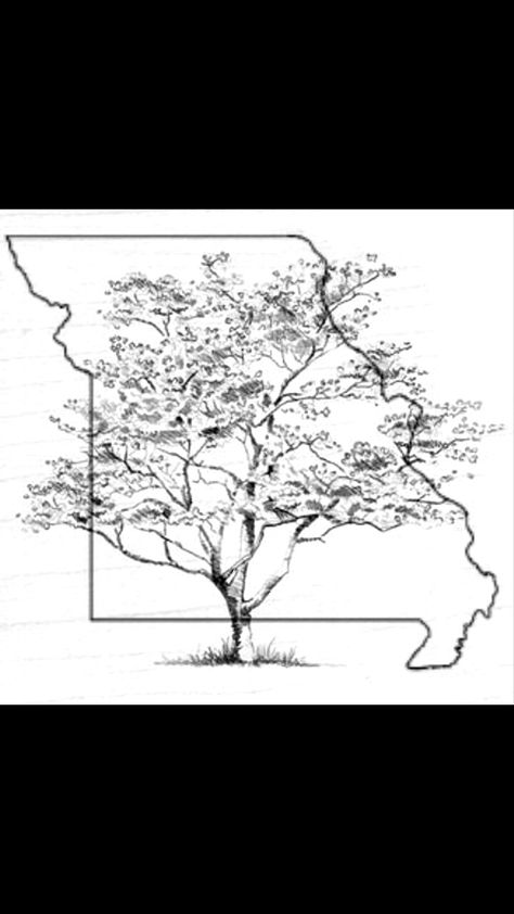 Missouri state outline with the state tree (flowering dogwood) inside. I think it would look cool as a tattoo on the inside of a wrist or ankle. Missouri Tattoo Ideas, Missouri Tattoo, State Tattoo Ideas, Georgia Tattoo, Virginia Tattoo, City Outline, State Tattoos, Roots Tattoo, Flowering Dogwood