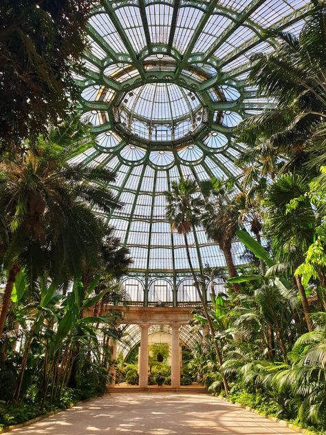 The Royal Greenhouses of Laeken, Belgium Royal Greenhouse, Visit Brussels, Belgium Aesthetic, Brussels Travel, Journal 2024, Belgium Travel, Euro Trip, Europe Tours, Brussels Belgium