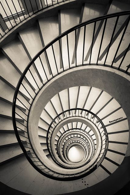 Spiral Staircase Photography, Staircases Modern, Sleep Art, Staircase Art, Spiral Stair, Circular Stairs, Beautiful Stairs, Art Hotel, Interior Staircase