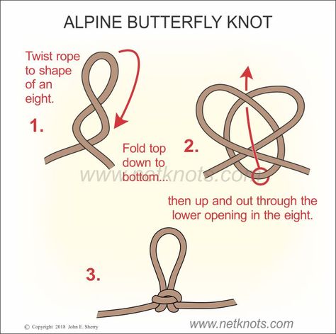 Alpine Butterfly Knot - How to tie an Alpine Butterfly Knot | All Knots Animated Animation Anatomy, Faces Anatomy, Alpine Butterfly, Animated Knots, Scout Knots, Climbing Knots, Sailing Knots, Fishing Hook Knots, Hook Knot