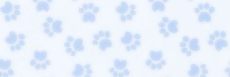 Blue Medium Widget, Brewster Wallpaper, Puppy Time, Pet Spaces, Cute Blue Wallpaper, Blue Text, Light Blue Aesthetic, Blue Banner, Cute Headers