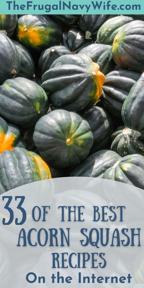 The aroma when cooking squash and other fall foods just sets the entire home in the fall spirit, here are some of our favorite Acorn Squash Recipes. #fall #acornsquash #frugalnavywife #roundup #recipes | Acorn Squash | Fall Recipes | Frugal Navy Wife | Roundup | Side Dishes | Egg Corn Squash Recipes, Acorn Squash Recipe Microwave, Freezing Acorn Squash, Easy Stuffed Acorn Squash, Recipes Using Acorn Squash, What To Do With Acorn Squash, Best Acorn Squash Recipe, Acorn And Butternut Squash Recipes, Acron Squash Recipes