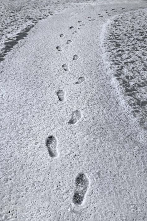 Footprints In Snow, Snow Footprints, Winter Pic Ideas, The Hunger Games Aesthetic, Surrealism Fashion, Firefighter Photography, Hunger Games Aesthetic, I Walk The Line, Snow Illustration