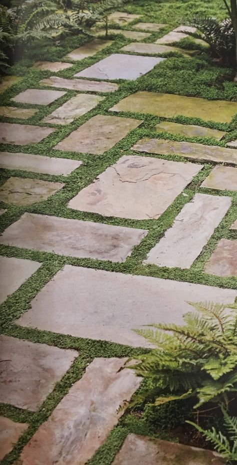 Grass Pavers, Pathway Ideas, Pathway Landscaping, Courtyard Gardens Design, Stone Walkway, Garden Walkway, Garden Entrance, Have Inspiration, Garden Pathway