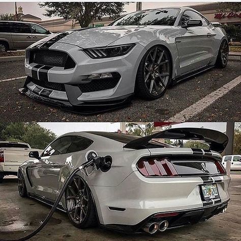 GT350. Dope or Nope 🤔 Follow @drifting @drifting @drifting  By @scofield_tyler #amazing_cars #217mph Mustang Modified, Mustang Gt500, Ford Mustang Car, Ford Mustang Shelby Gt500, Mustang Cobra, Mustang Fastback, Ford Mustang Shelby, Mustang Cars, Us Cars