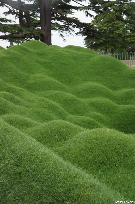 Grass Mounds, Hampton Court Flower Show, Landscaping Software, Landform, Garden Landscape Design, Modern Landscaping, Landscape Ideas, Flower Show, Land Art