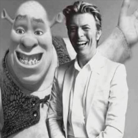 David Bowie and Shrek David Bowie Meme, David Bowie Pictures, David Bowie Tribute, Ziggy Stardust, One Photo, Shrek, David Bowie, Meme Pictures, First Photo