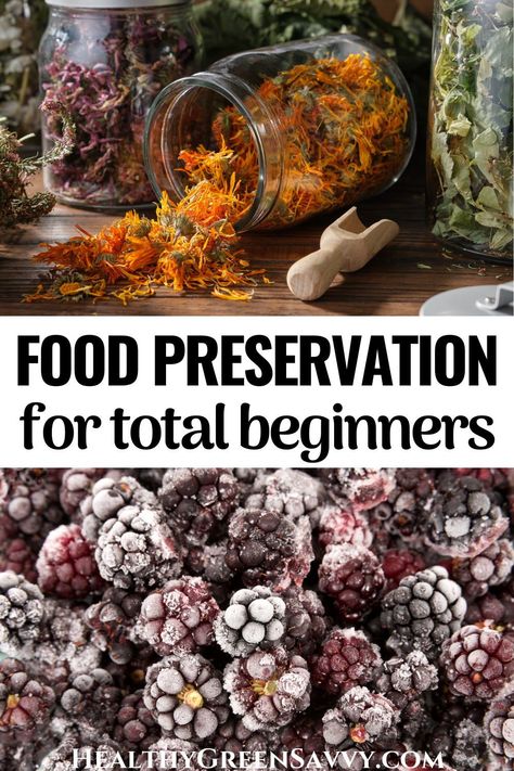 Food preservation is a lot easier than most people think! These simple beginner preserving techniques don't require any special skills or equipment and will save you money. Find out how to get started preserving a little of your own food. #preserving #foodpreservation | dehydrating food | green living tips | reduce waste | preserving for beginners | September Meals, Preserve Vegetables, Survival Preparedness, Dehydrating Food, Food Preserving, Canning Ideas, Seasonal Eating, Preserving Herbs, Harvesting Herbs