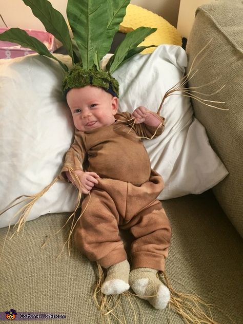 Plant Costume Kids, Mandrake Baby Costume, Diy Mandrake Harry Potter, Harry Potter Baby Costume, Diy Mandrake, Mandrake Harry Potter, Baby Harry Potter Costume, Plant Costume, Brown Spray Paint