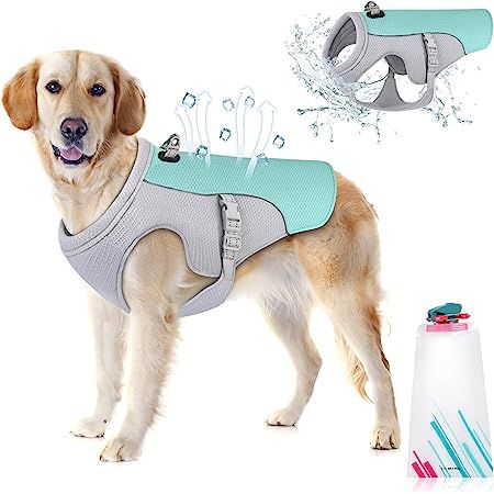 Dog Cooling Vest, Cooling Vest, Paw Protector, Walking Dog, Portable Water Bottle, Dog Skin, Dog Shoes, Cotton Texture, Outdoor Dog