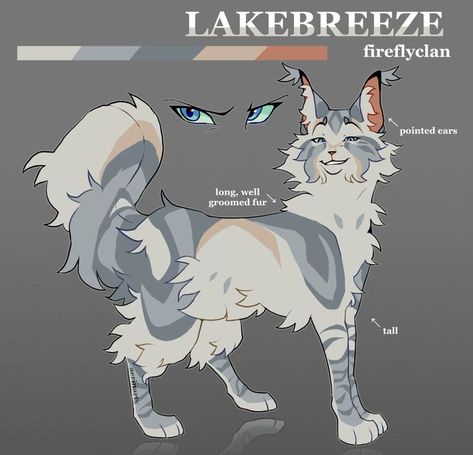 Cat Design Art, Warrior Cats Clans, Warriors Oc, Warrior Cats Books, Warrior Drawing, Cats Art Drawing, Evil Cat, Cute Ferrets, Warrior Cats Fan Art