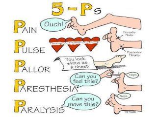 Neurovascular Assessment, Nursing Ob, Endocrine System Nursing, Emt Study, Cranial Nerves Mnemonic, Nurse Teaching, Nursing Cheat, Nurse Study Notes, Basic Anatomy And Physiology