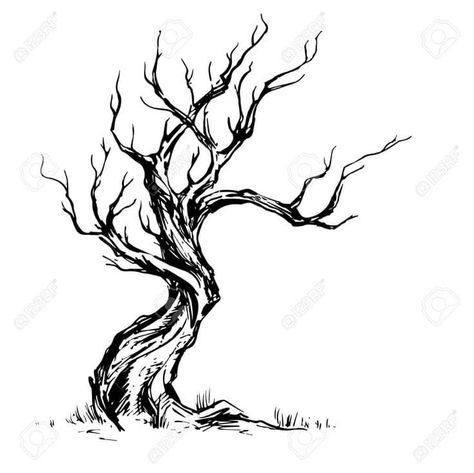 Dead Tree Tattoo, Crooked Tree, Dry Tree, Tree Sketches, Vector Trees, Ink Master, Graphic Style, Tree Illustration, Ink Drawings