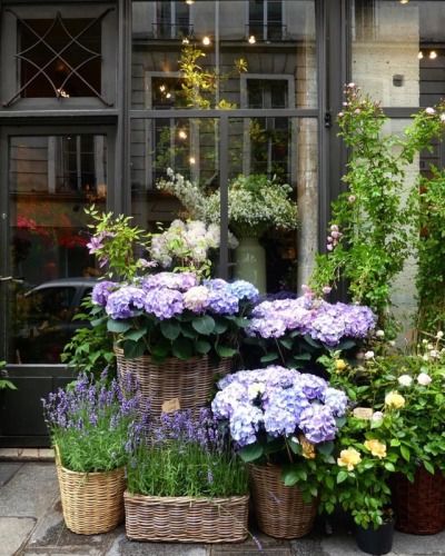 Big House, Garden Containers, France Paris, Garden Cottage, Small Gardens, Balcony Garden, Types Of Flowers, Container Plants, Front Garden