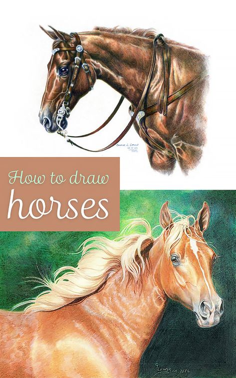 By Carrie Lewis in Art Tutorials > Drawing Tips If you’ve been reading my articles here on EmptyEasel (or have ever visited my blog) you probably know horses are one of my favorite subjects. :) But, while I’ve shared a lot of techniques for creating realistic drawings and paintings, often with horses as the subject matter, I’ve never actually shown you how to draw a horse from start to finish.Quick announcement - EmptyEasel has created a quicker, easier way for artists to … How To Draw Horses, Horse Drawing Tutorial, Drawing Horses, Horse Art Drawing, Horse Sketch, Pencil Drawing Tutorials, Horse Drawing, Horse Drawings, Creature Drawings