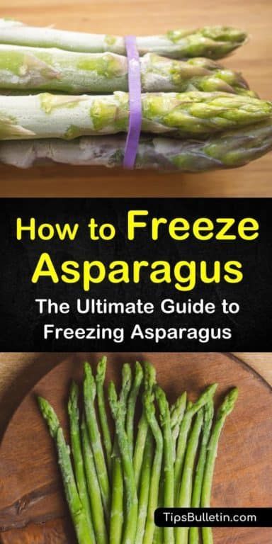 Learn how to store asparagus in your freezer and how to make our favorite frozen asparagus recipe! This simple guide is suitable for all kitchens! #freezingasparagus #asparagusrecipe #frozenasparagus How To Freeze Asparagus, Blanching Asparagus, Freezing Asparagus, Freezing Food Guide, How To Store Asparagus, Freezing Vegetables, Grilled Asparagus Recipes, Asparagus Recipes Baked, Asparagus Seasoning