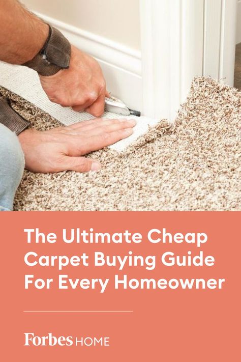 Cheap Carpet Ideas Budget, Cheap Carpet Replacement, How To Replace Carpet, Installing Carpet, Replace Carpet, Carpet Options, Carpet Replacement, Cheap Houses For Sale, Affordable Carpet