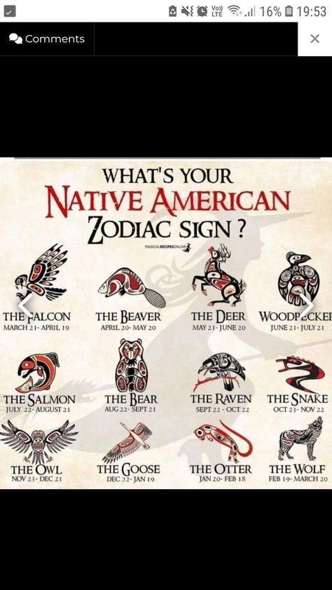 Libra Spirit Animal Tattoo, Native American Knowledge, Native American Facts, Native American Zodiac, Celtic Zodiac, Native American Animals, Indian Names, Libra Quotes Zodiac, Zodiac Signs Chart