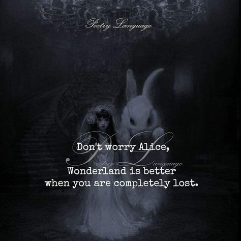 Alice in Wonderland on Instagram: “Wonderland is better when you are completely lost. . .#aliceinwonderland #throughthekeyhole #aliceinwonderlandinspired…” Aesthetic Cartoon Quotes, Aesthetic Alice In Wonderland, Quotes Alice In Wonderland, Alice Quotes, Poetry Language, Best Cartoons, Wonderland Aesthetic, Alice In Wonderland Artwork, Dark Alice In Wonderland