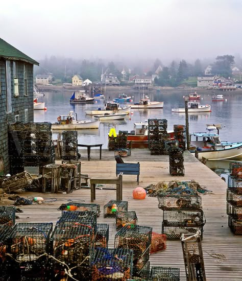 Fishing village, Bass Harbor. Maine USA Bass Harbor, Mt. Desert Island. Maine Scenery, North Shields, Rachel Carson, New England States, Mount Desert Island, Maine Vacation, Maine Travel, Maine Coast, Maine Usa