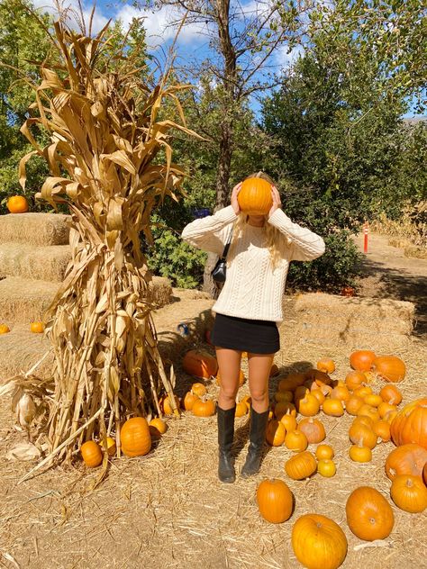 Fall Influencer Pictures, Fall Poses For Instagram Standing, Solo Pumpkin Patch Pictures, Pumpkin Patch Pictures Family, Cider Mill Photoshoot, Pumpkin Field Photoshoot, Pumpkin Patch Inspo Pics, Fall Indoor Photoshoot, Fall Pictures Friends