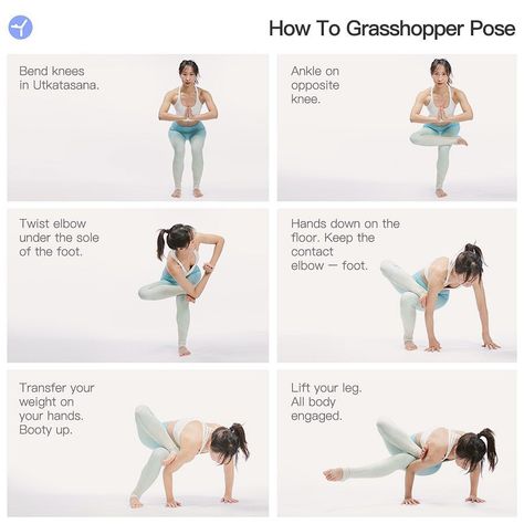 Grasshopper Yoga Sequence, Grasshopper Yoga Pose, Baby Grasshopper Yoga, Deer Pose Yoga, Eagle Pose Yoga, Balance Yoga Poses, Yoga Intentions, Wod Workouts, Grasshopper Pose