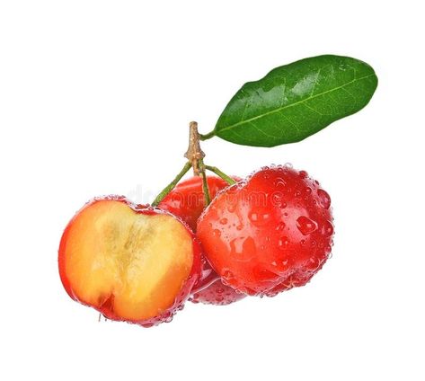 Acerola Cherry Benefits, Avatar Background, Acerola Cherry, Packaging Ideas, New Tattoos, Arsenal, Piercings, Art Painting, Angel