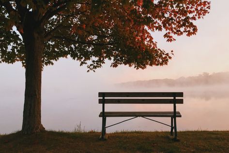 If you've never heard of a friendship bench, this just might be the feel-good story you were looking for today! Cornice Tv, Free Fall Wallpaper, Desktop Wallpaper Fall, Cute Fall Wallpaper, Iphone Wallpaper Fall, Trendy Wallpaper, Memorial Garden, Old Stone, Samsung Wallpaper