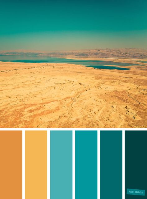 Color Inspiration : Teal and Yellow Color Scheme #color #colorscheme #colorpalette #teal #yellowteal Yellow Color Scheme, Teal Color Palette, Brand Colour Schemes, Yellow Colour Scheme, Color Schemes Colour Palettes, Nature Color Palette, Bedroom Color Schemes, Room Color, Color Palette Design