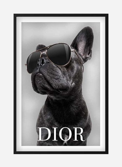 Dior Dog Poster, Dior Poster, Eden Project, Bedrooms Ideas, Tableau Design, Dog Poster, Fashion Wall Art, Office Art, One Tree