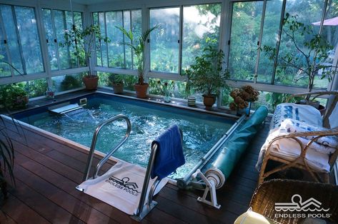 Greenhouse Pool, Indoor Swim Spa, Small Indoor Pool, Endless Pools, Swimming Pool Enclosures, Indoor Pool Design, Endless Pool, Piscina Interior, Indoor Swimming Pool