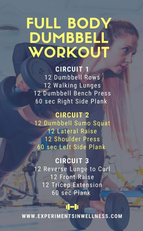 30 Minute Full Body Dumbbell Workout, 1 Hour Full Body Workout Gym, Full Body Circuit Workout Gym, Full Body Strength Workout At Home, At Home Experiments, Strength Wod, At Home Workout Equipment, Home Experiments, Full Body Dumbbell