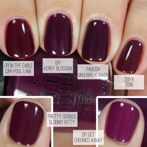 Fall Pedicure, Nail Polish Colors Winter, Berry Nails, Winter Nail Polish, Pedicure Colors, Nagellack Trends, Colorful Nail Designs, Fall Nail Colors, Nails Polish