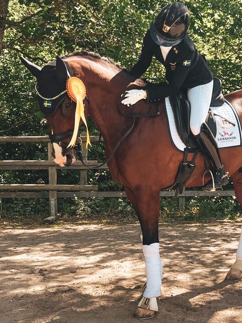 #dressage #dressagehorse #samshield #cavalleriatoscana #horse #horses Horse Riding Dressage, Horse Show Aesthetic, Dressage Aesthetic, English Horse Riding, Horse Girl Aesthetic, Dressage Competition, Horse Competition, Equestrian Dressage, Equestrian Aesthetic