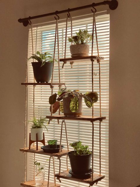 Window Shelf For Plants, Plant Window, Window Plants, Hanging Plants Indoor, Organized Living, Plant Decor Indoor, House Plants Decor, Apartment Decor Inspiration, Room With Plants