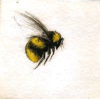 Cute Flying Bumble Bee Tattoo Design - Lovely bumble bee drawing tattoo design. Honey Bee Tattoo, Mystical Beings, Bumble Bee Tattoo, Vogel Tattoo, Bee Drawing, Kunst Tattoos, Bee Painting, Tattoo Desings, Bee Tattoo