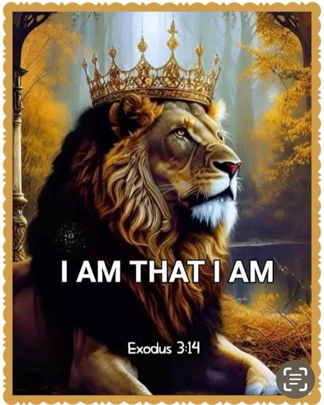 Lion Of Judah Jesus, Lion Artwork, Lions Photos, Lion And Lamb, Lion King Art, Jesus Christ Artwork, Lion Painting, Christian Images, Bible Quotes Images