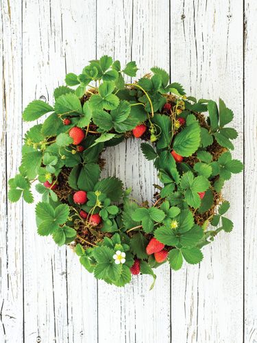 Canadian Gardening, Living Wreaths, Strawberry Wreath, Strawberry Dishes, Living Wreath, Growing Tomatoes In Containers, Vertical Vegetable Garden, Vertical Gardens, Succulent Gardening